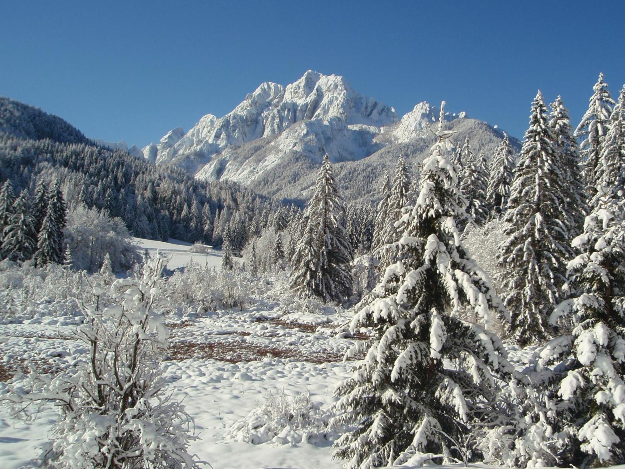 Tempfer 2 Apartments & Rooms With New Wellness Kranjska Gora Exterior foto