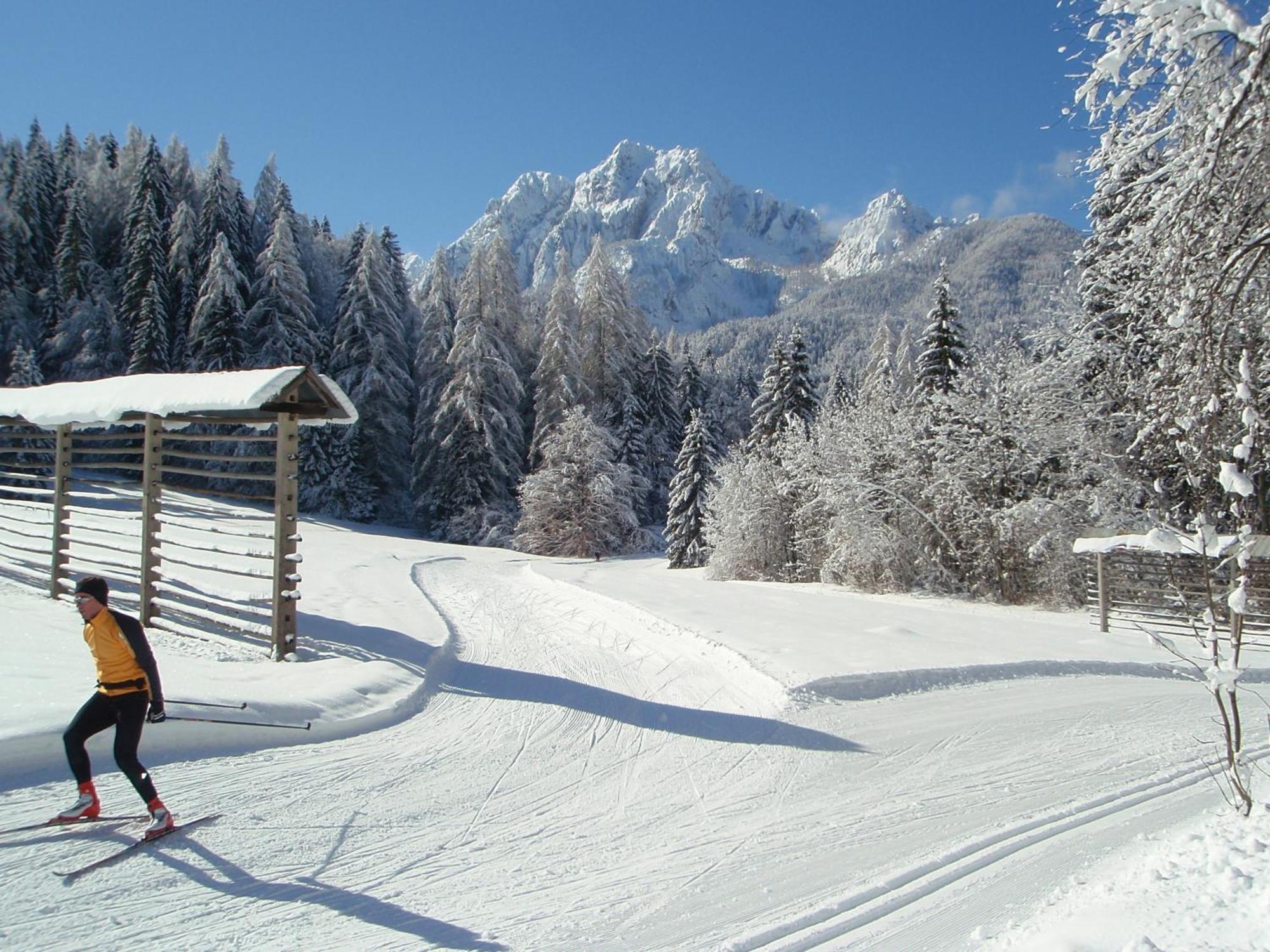 Tempfer 2 Apartments & Rooms With New Wellness Kranjska Gora Exterior foto