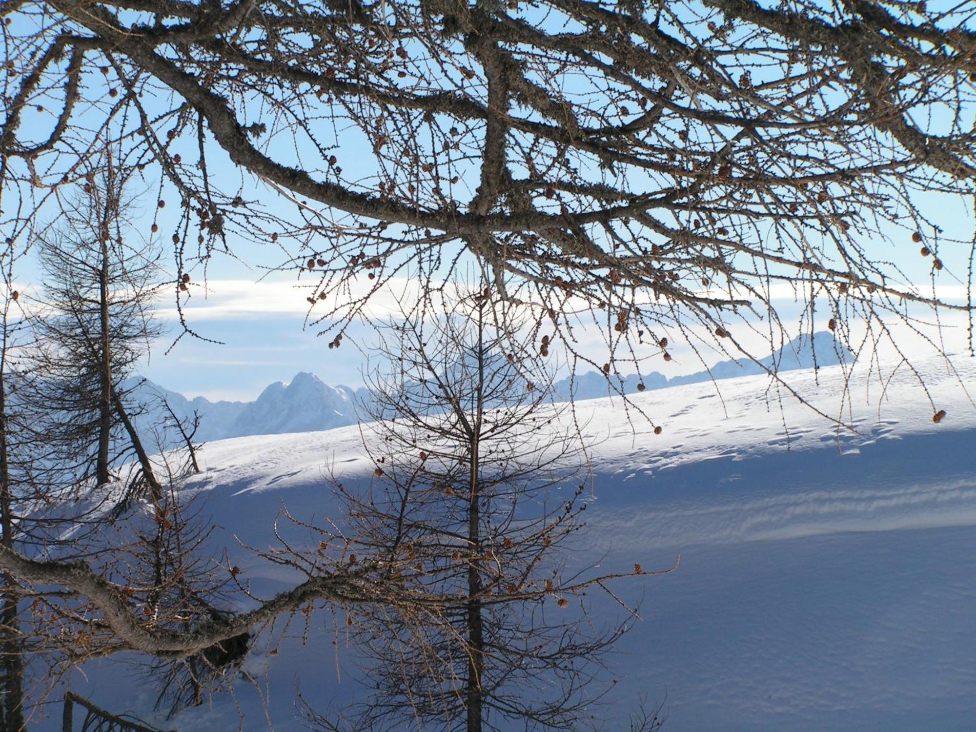 Tempfer 2 Apartments & Rooms With New Wellness Kranjska Gora Exterior foto